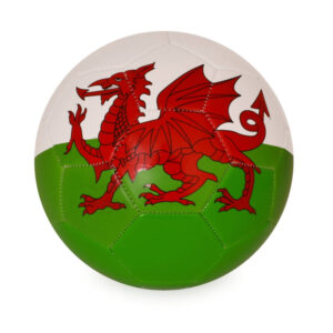 Football with Wales Dragon