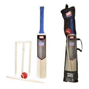 Cricket Set in Carry Bag size 3