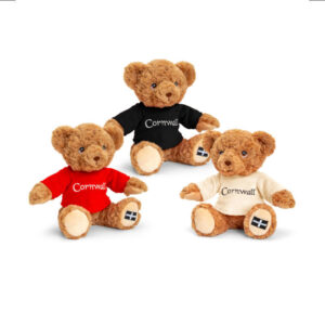 Keeleco Cornwall Bear with T-Shirt 18cm