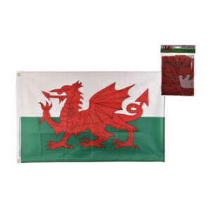 Wales Flag 3ft x 2ft