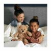 Warmies Brown Curly Bear - Image 3