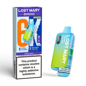 Lost Mary BM6000 Vape Kit - Miami Mint