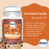 Airpure Jar Candle 18oz Gingerbread - Image 2