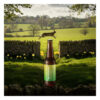 12x Hawkstone Bounder Lager 4.2% vol 330ml - Image 2