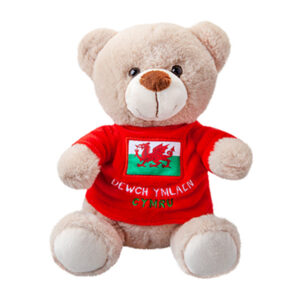 Wales Bear with T-Shirt 20cm