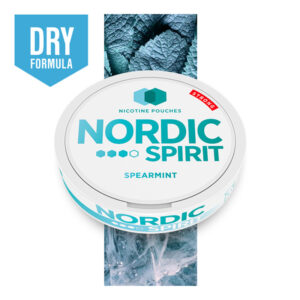 5 x Nordic Spirit Spearmint 20 pouch