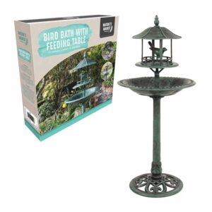 Bird Bath and Feeding Station