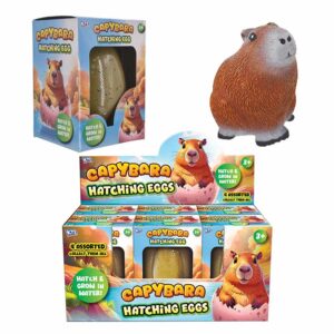 Capybara Hatching Egg 13cm in Display of 6